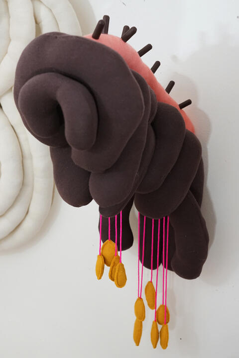 Not What It Seems fabric wall sculpture by Tamara Bagnell