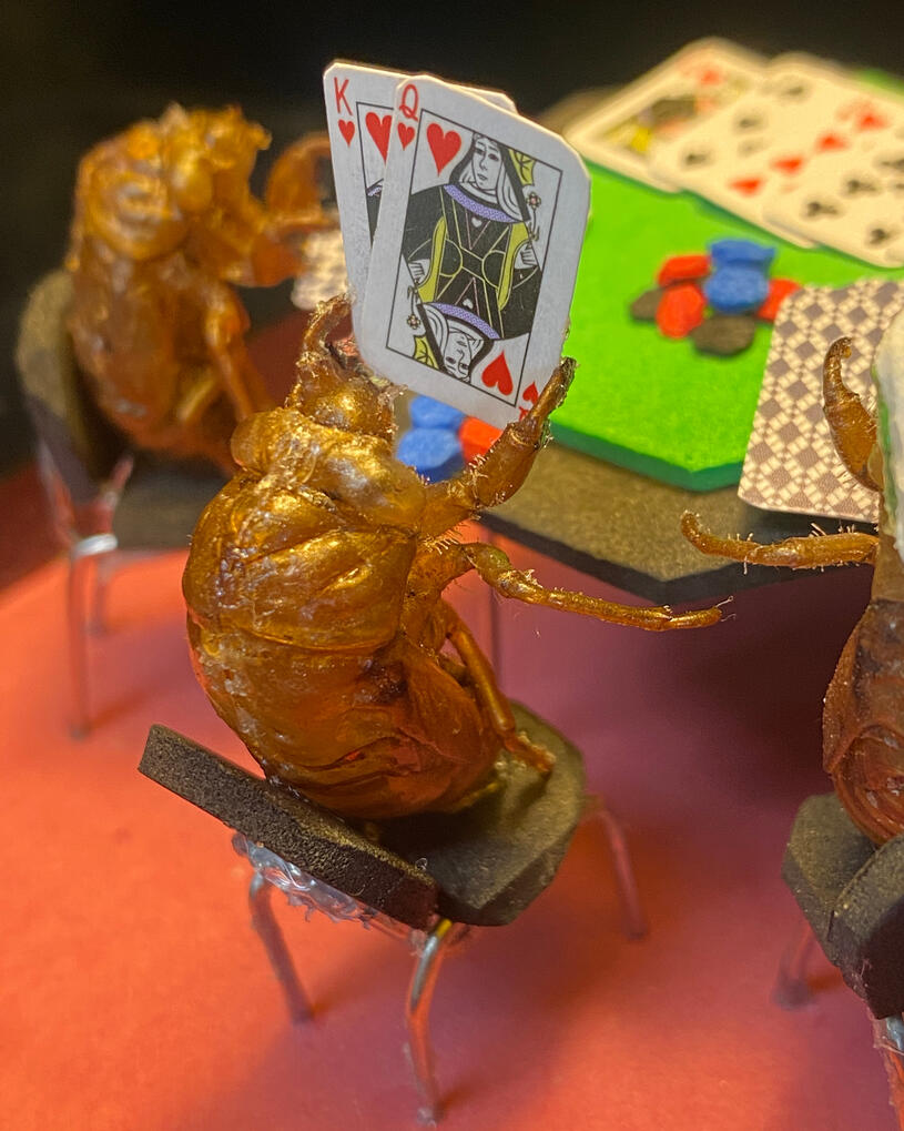 Poker Face by Candice O'Neal